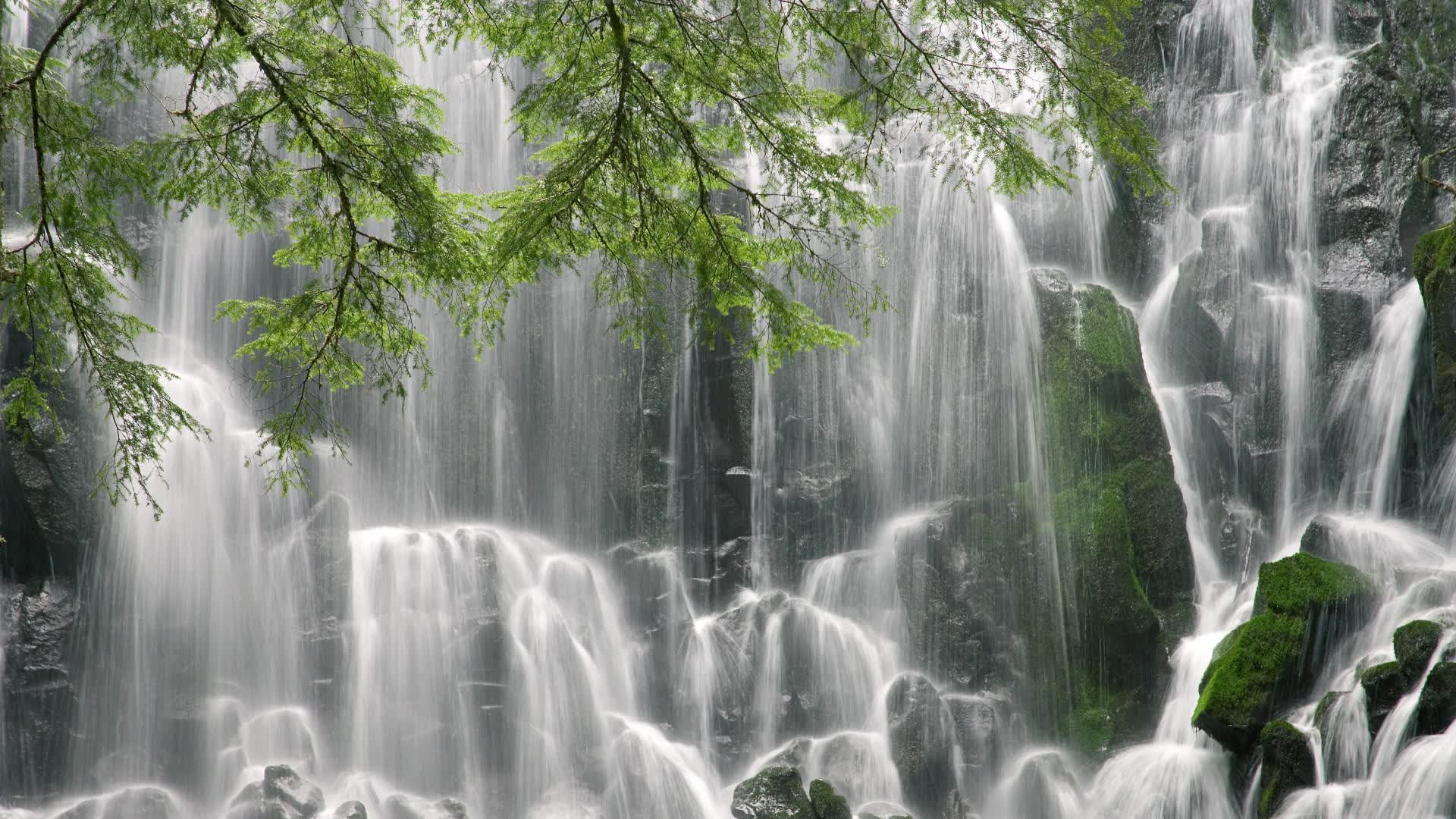 世界登山青年导师生态课堂全国示范项目案例发布,登山专家